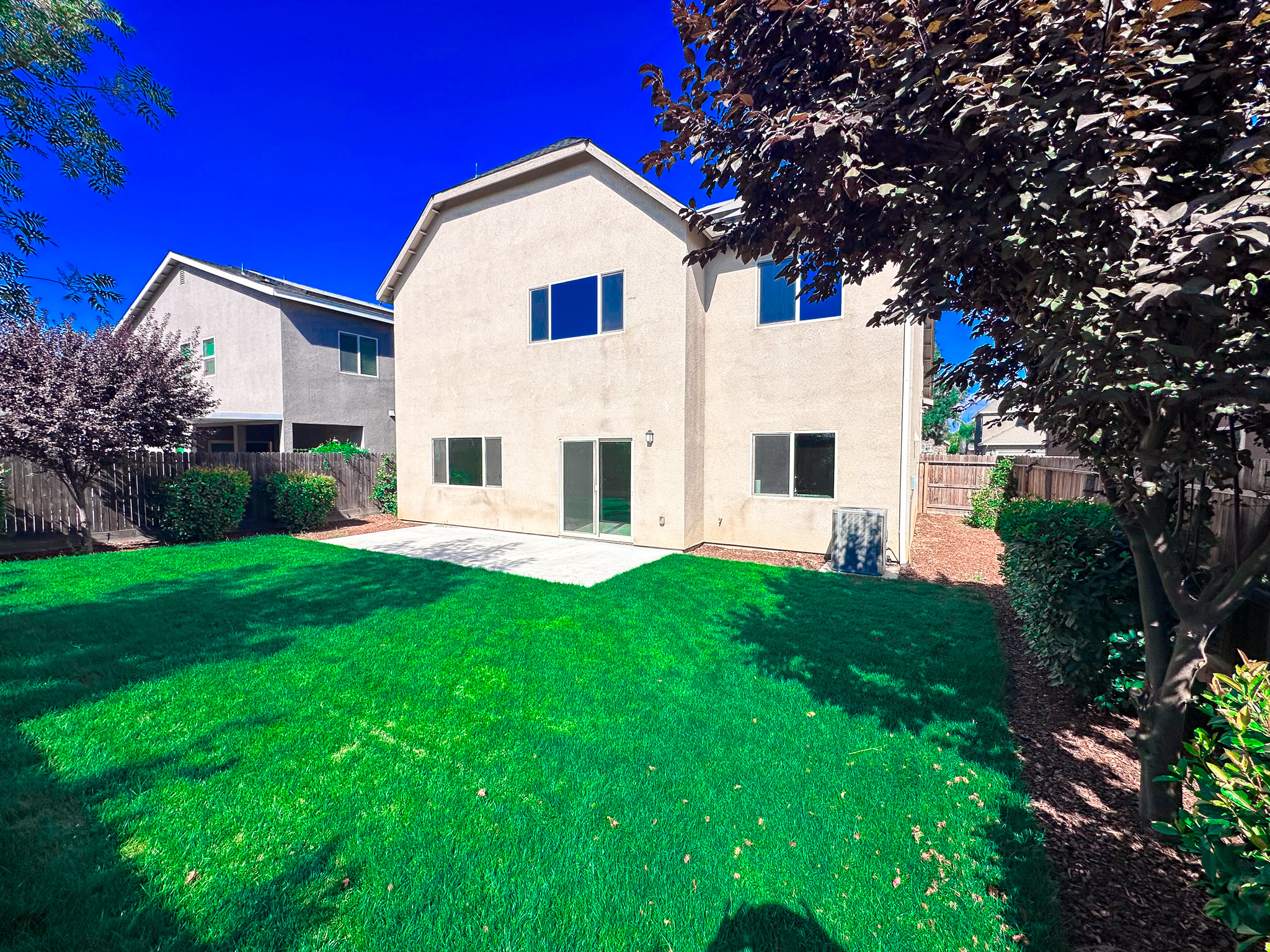 Backyard with green grass and rear of house